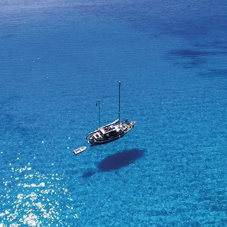 Vela Baraka By Guide Vila