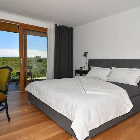 Vela Baraka By Guide * Dragove