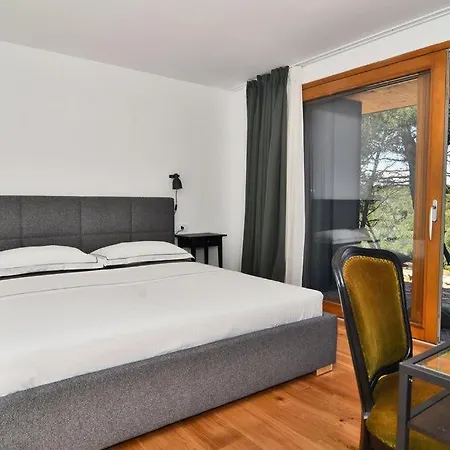 Vela Baraka By Guide *