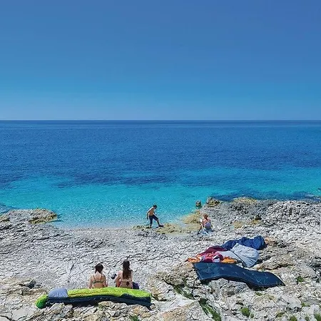 Vela Baraka By Guide