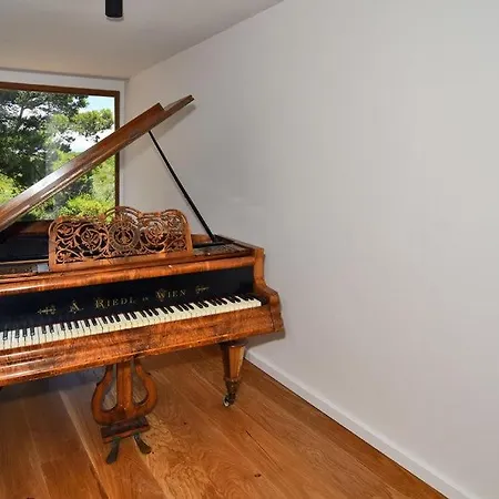 Vela Baraka By Guide * Dragove