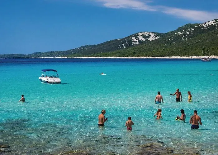 Vela Baraka By Guide * Dragove