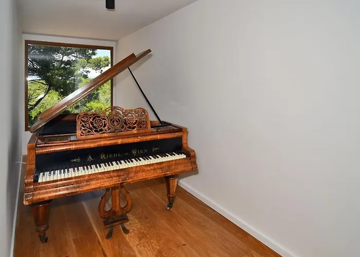 Vela Baraka By Guide * Dragove