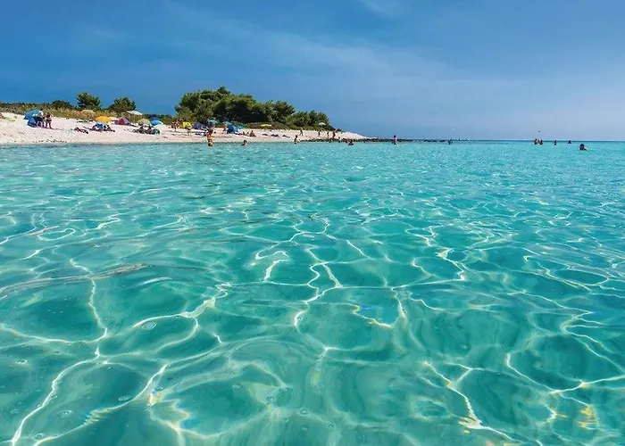 Vela Baraka By Guide * Dragove